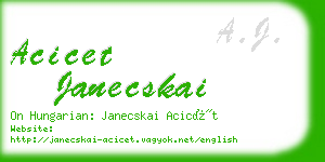 acicet janecskai business card